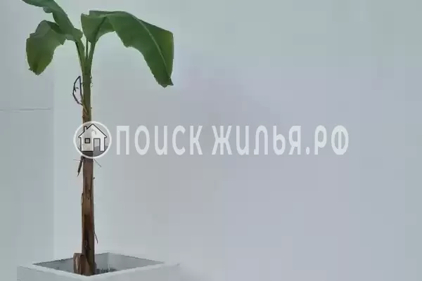 Гостевой дом «Nikas»