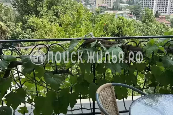 «Антураж» «Антураж»