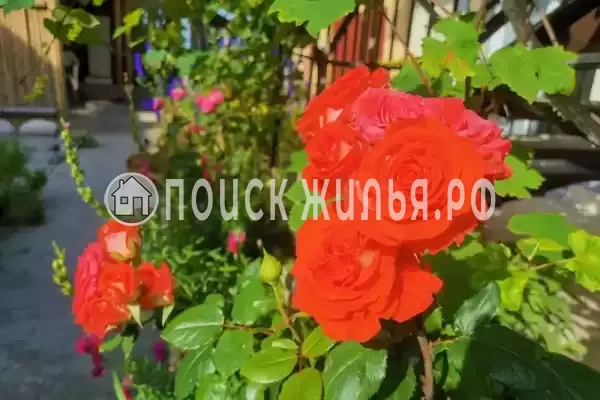 Гостевой дом «В Бамбуках»