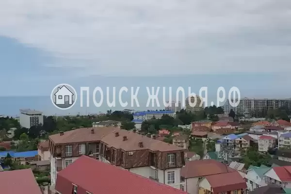 «Азалия» «Азалия»