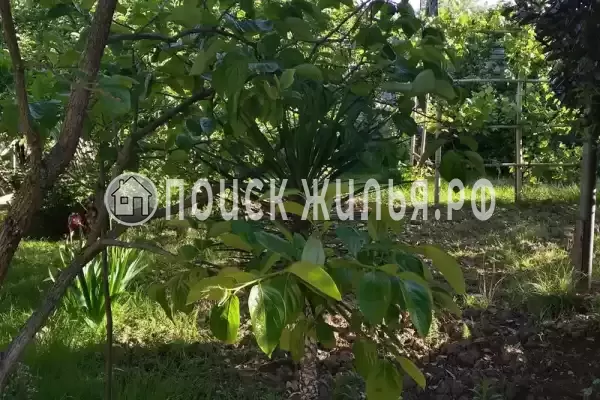 Частный сектор «У Евгения» Частный сектор «У Евгения»