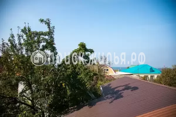 «Подсолнух»