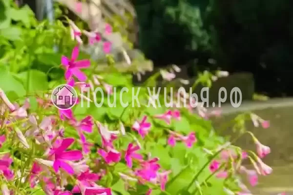 «Арт Берег»