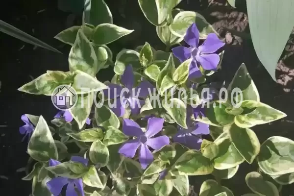 Дом под ключ «На Приморской» Дом под ключ «На Приморской»