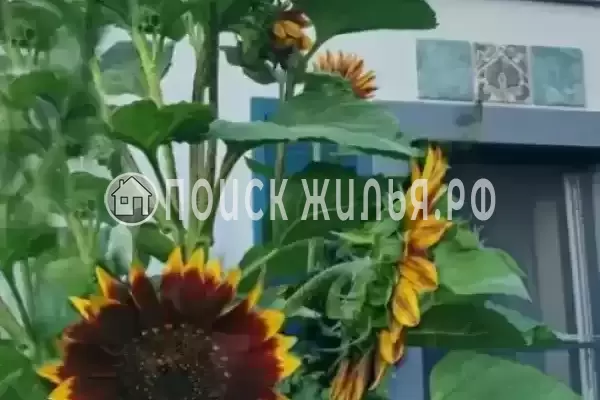 Дом под ключ «Дом художника» Дом под ключ «Дом художника»