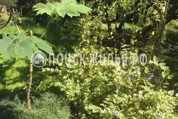 Частный сектор «Этаж под ключ Отдых у Риты» Частный сектор «Этаж под ключ Отдых у Риты»