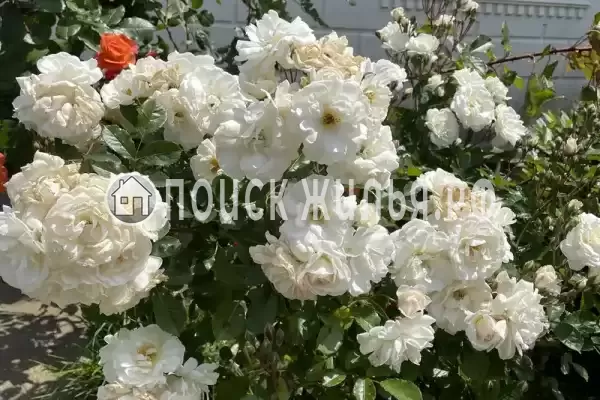 Частный сектор «Этаж под ключ Отдых у Риты» Частный сектор «Этаж под ключ Отдых у Риты»