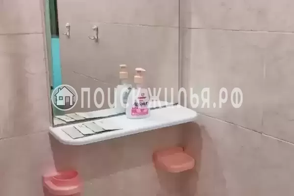 «Лиза» «Лиза»