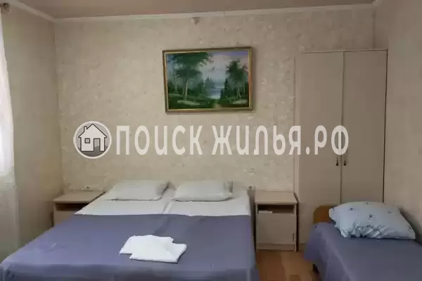 «Лиза» «Лиза»