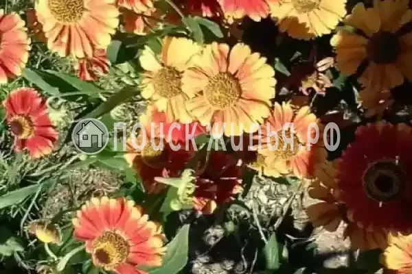 Частный сектор «Дом по ключ Степная 8» Частный сектор «Дом по ключ Степная 8»