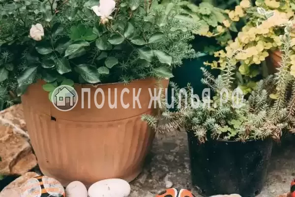 Дом под ключ «Вистерия» Дом под ключ «Вистерия»