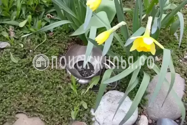 Частный сектор «На Ясенской 83» Частный сектор «На Ясенской 83»