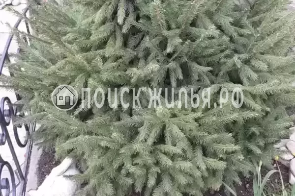 Частный сектор «На Ясенской 83» Частный сектор «На Ясенской 83»