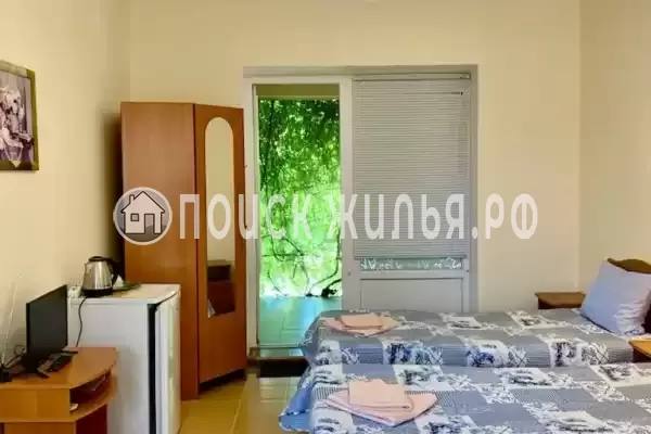 «Виноградная лоза»