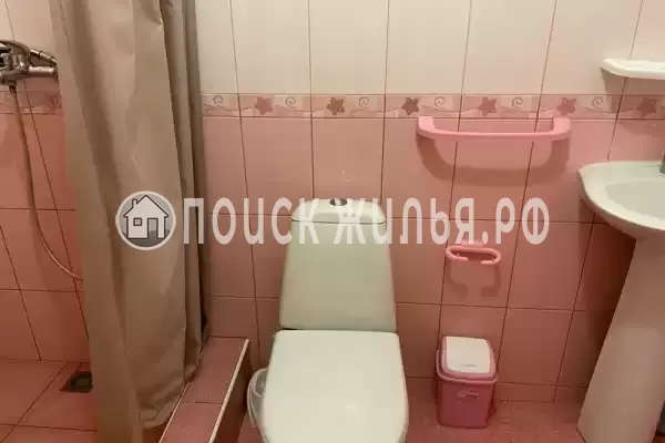 «Виноградная лоза»