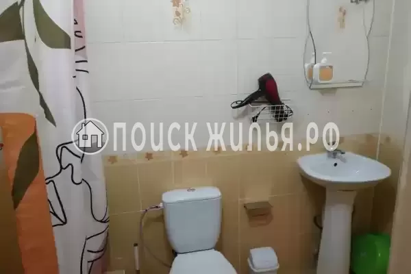 «Виноградная лоза»