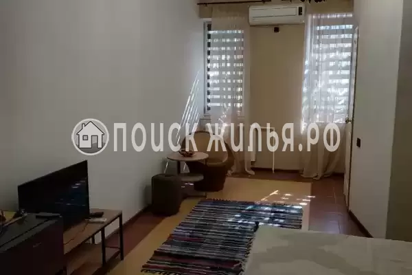 «Виноградная лоза»