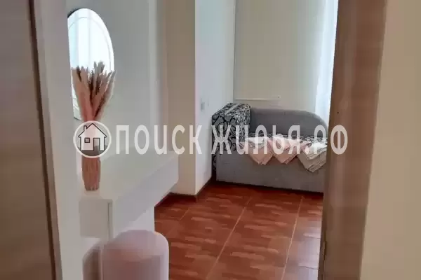 «Виноградная лоза»