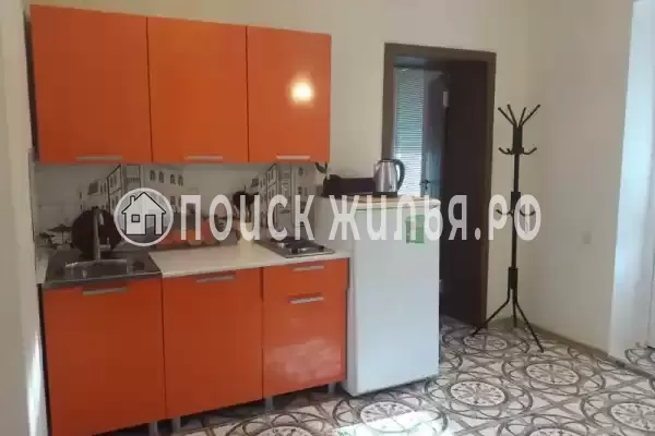 «Виноградная лоза»