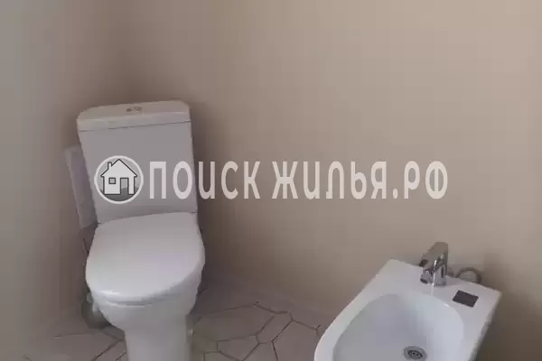 «Виноградная лоза»