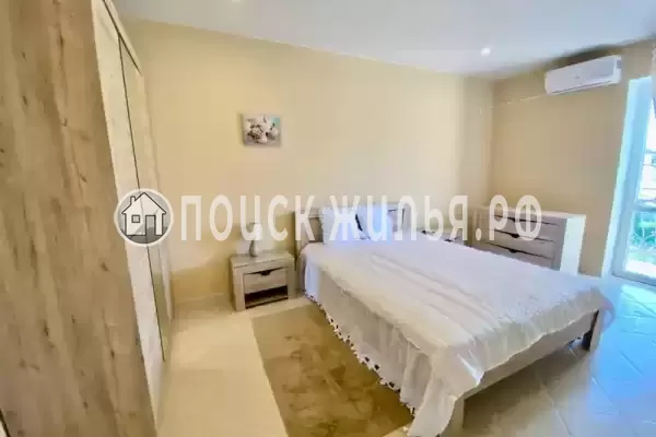 «Виноградная лоза»