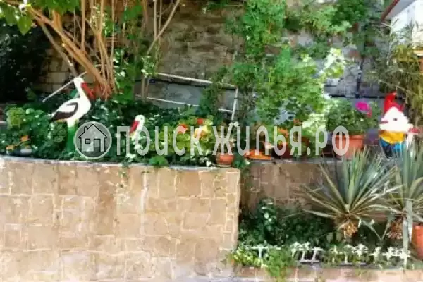 «Кипарис» «Кипарис»