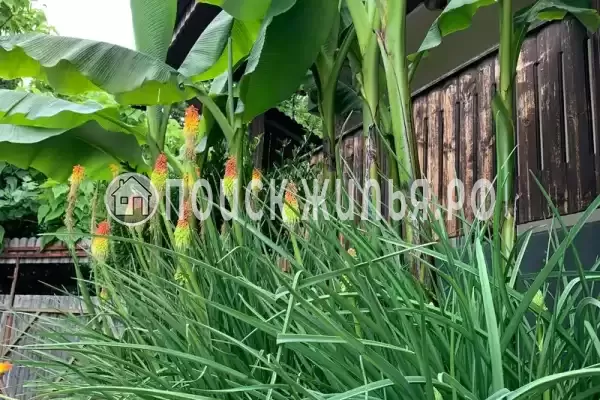 «У Алексея в Аше»