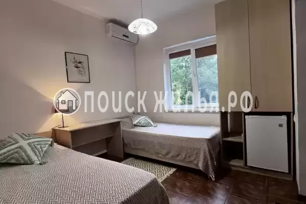 «Старый ясень» «Старый ясень»