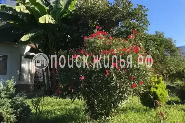 Гостиница «Святая Абхазия»