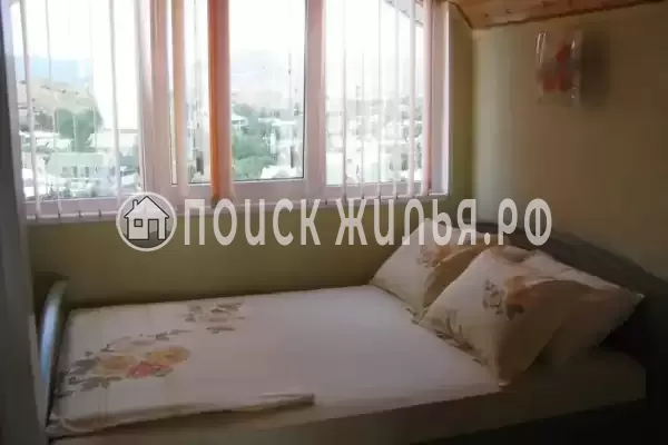 «Елки» «Елки»