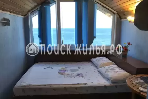 «Елки» «Елки»