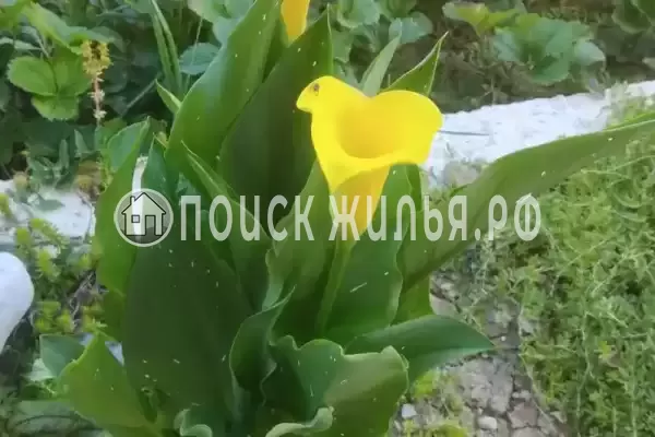 Дом под ключ «На Огородном»