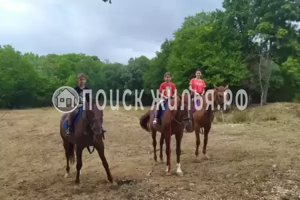 Апартаменты «Скала Парус» Апартаменты «Скала Парус»