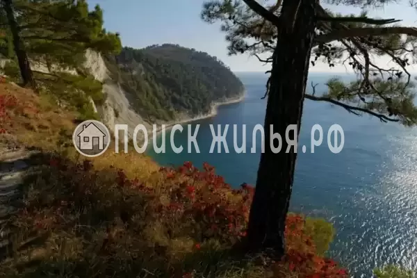 Апартаменты «Скала Парус» Апартаменты «Скала Парус»