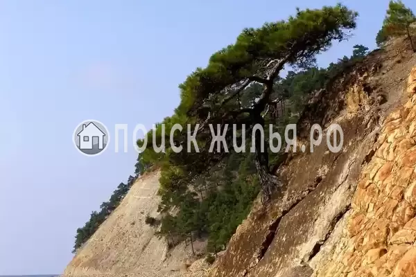 Апартаменты «Скала Парус» Апартаменты «Скала Парус»