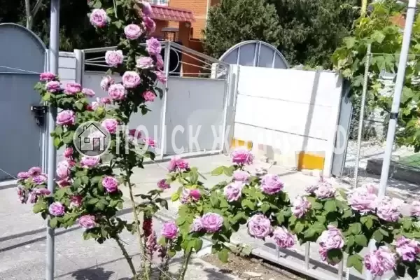 Дом под ключ «Таунхаус под ключ на Ленина» Дом под ключ «Таунхаус под ключ на Ленина»