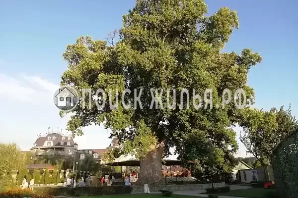 Частный сектор «Семейный таунхаус в морском стиле»