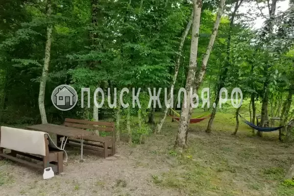 Частный сектор «Домик в лесу у моря»