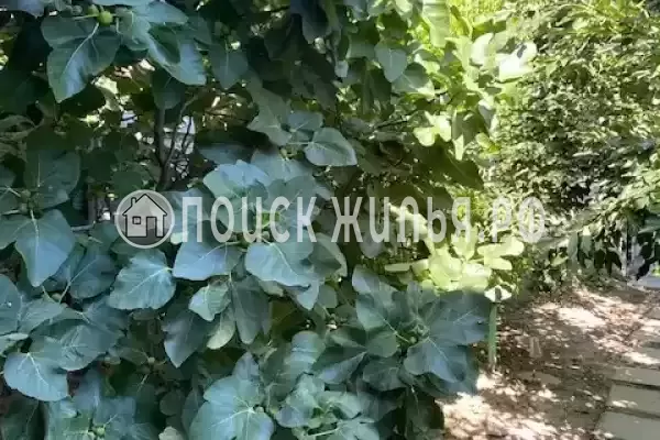 Дом под ключ «Семейный отдых» Дом под ключ «Семейный отдых»