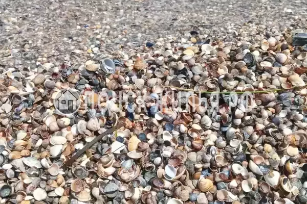 Дом под ключ «Дом под ключ» Дом под ключ «Дом под ключ»