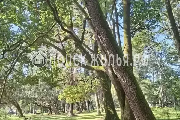 Квартира «В Агудзера»