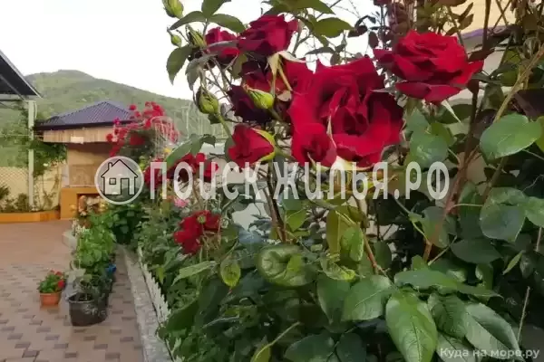 Апартаменты «Квартирного типа»