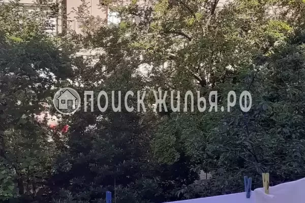 Квартира «В центре»