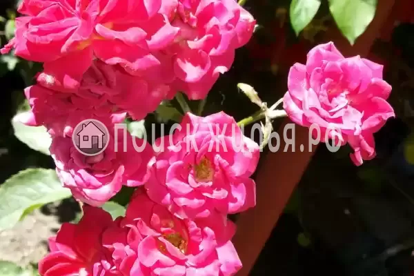 Дом под ключ «До 5 человек»