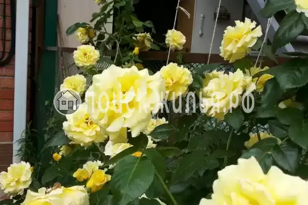 Дом под ключ «До 5 человек»