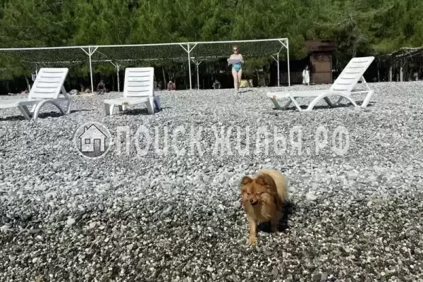 Частный сектор «Домик в Лдзаа»