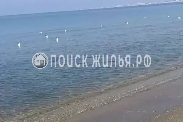 Квартира «1-комнатная квартира» Квартира «1-комнатная квартира»