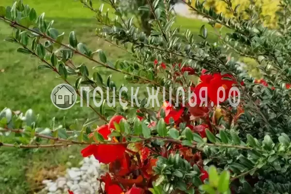 Апартаменты «Луч» Апартаменты «Луч»