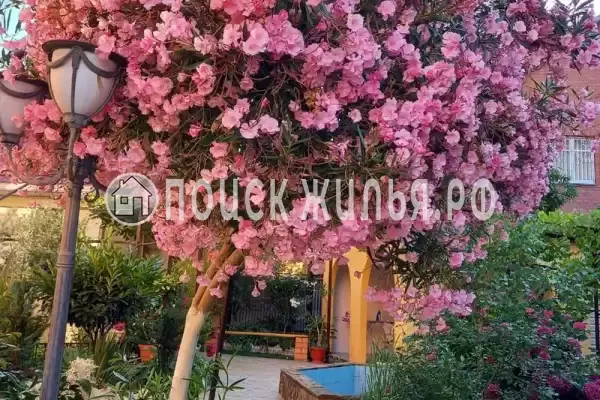 Частный сектор «Частный домик у самого моря» Частный сектор «Частный домик у самого моря»