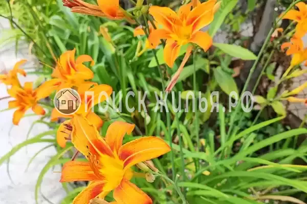 Частный сектор «Номер в частном доме с отдельным входом»